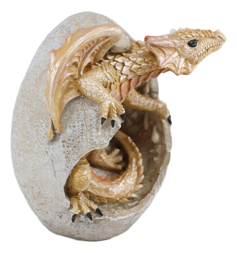 Ebros Raeon Sunlight Dragon Hatchling Breaking Out Of Egg Shell Figurine 5"H