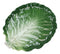 Ebros Ceramic Iceberg Lettuce Leaf Serving Platter Dinner Plate Vegetable Accent Dish 10.75"Wide For Salads Veggies Fruits Entrees Kitchen Dining Essentials Accessory (4)