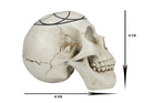 Gothic Sacred Geometry Seed Of Life Earth Creation Cosmic Energy Skull Figurine