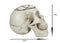 Gothic Sacred Geometry Seed Of Life Earth Creation Cosmic Energy Skull Figurine