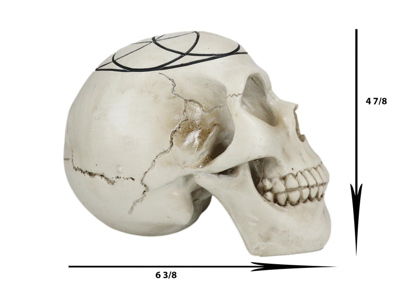 Gothic Sacred Geometry Seed Of Life Earth Creation Cosmic Energy Skull Figurine