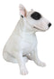 Large Lifelike Comical Bull Terrier Sitting Statue 16" L Fine Pedigree Dog Decor