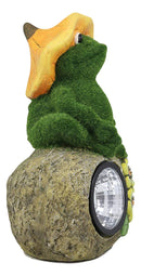 Whimsical Flocked Grass Toad Frog On Rock Garden Statue With Solar LED Light