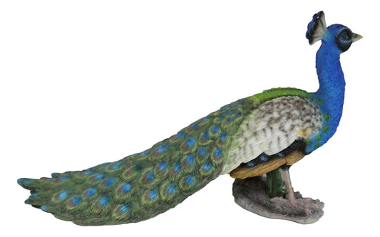 Elegant Iridescent Blue Peacock with Beautiful Train Feathers Decorative Statue