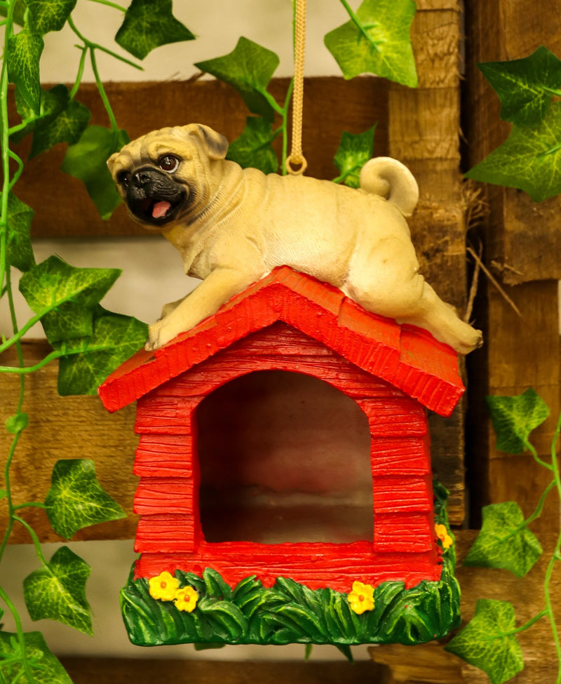 Dog bird feeder sale