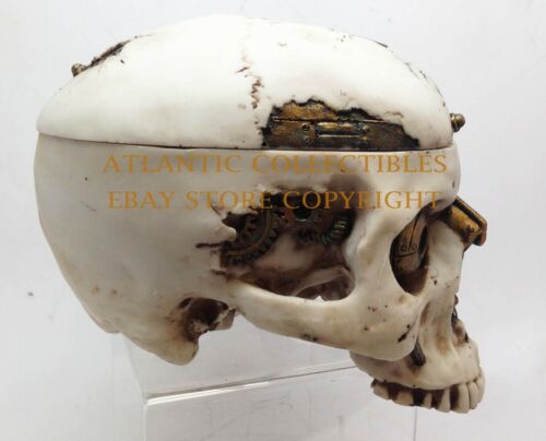 Ebros 7.25 Inch Mechanical Steampunk Open Skull Decorative Box Statue Figurine