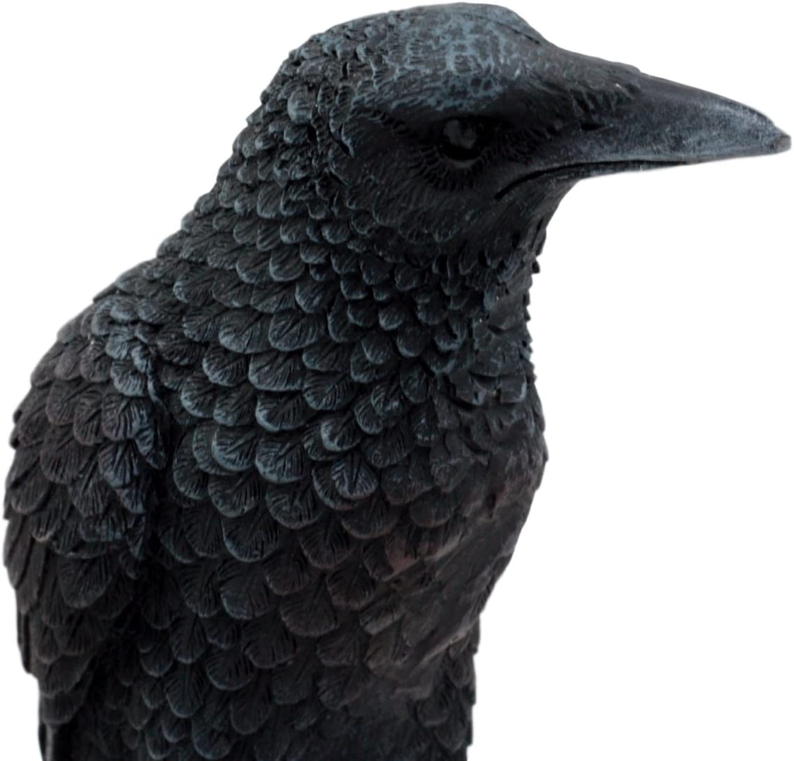 Ebros Gothic Raven Statue Crow Scavenger Bird Perching On Rock Figurine 6"H - Ebros Gift