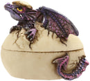 Twilight Dragon Hatchling Breaking Out Of Egg Shell Figurine Jewelry Box Decor