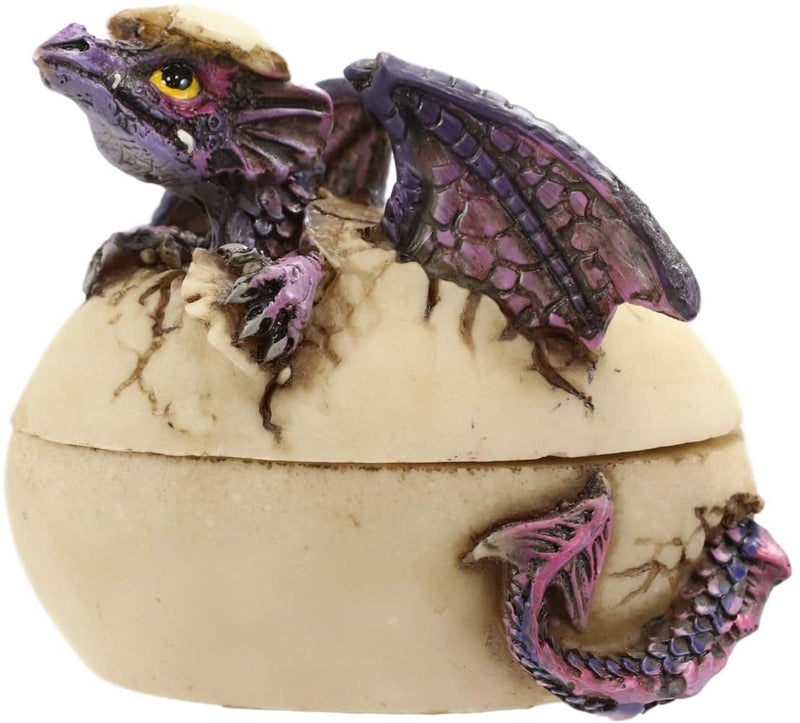 Twilight Dragon Hatchling Breaking Out Of Egg Shell Figurine Jewelry Box Decor