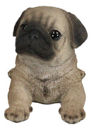 Lifelike Adorable Fawn Pug Puppy Dog Lying On Belly Figurine Pugsy Pet Pal Decor