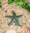 Ebros Cast Iron Sea Star Shell Starfish in Rustic Bronze Finish 3.75" Wide (3)