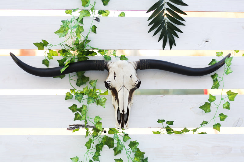 Large 36"L Rustic Western Longhorn Steer Cow Skull Wall Head Decor Pla ...
