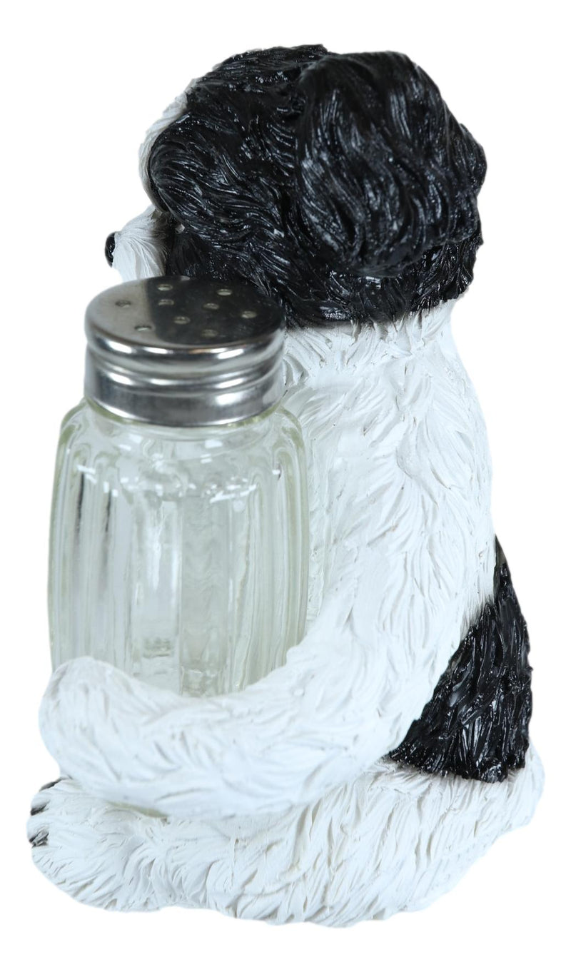 Ebros Hugging Pooch Shih Tzu Glass Salt Pepper Shakers Holder Figurine 6"Tall