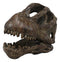 Faux Taxidermy Replica Brachiosaurus Dinosaur Head Fossil Small Skull Figurine
