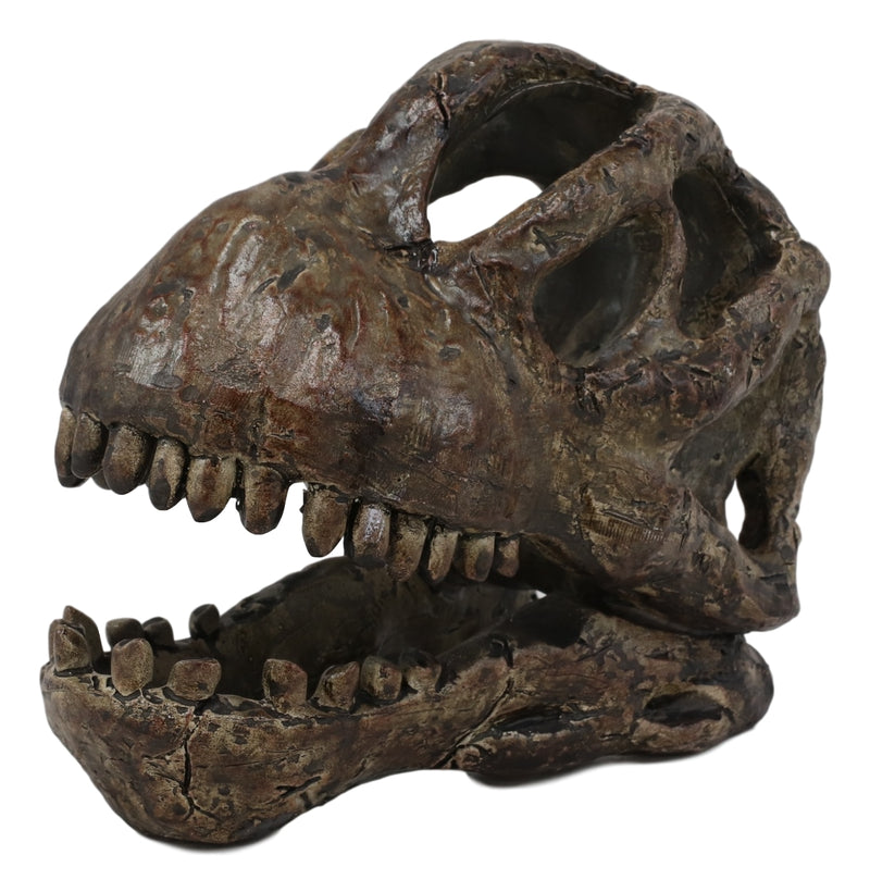 Faux Taxidermy Replica Brachiosaurus Dinosaur Head Fossil Small Skull Figurine