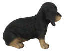 Ebros Realistic Black And Tan Dachshund Puppy Statue 8"L Schnitzel Sausage Wiener Dog