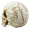 Ebros Pirate Captain Jack Sparrow Cartography Lost Treasure Map Skull Statue Relic