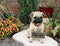 Ebros GiftLarge Adorable Pug Dog Garden Greeter Statue With Jingle Collar 11.25" Tall