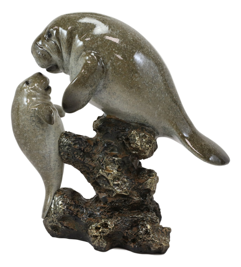 Ebroos Nautical Coastal Antillean Manatee Sea Cow With Calf By Coral Rocks Decor