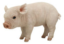 Large Adorable Realistic Animal Farm Babe Pig Piglet Statue 15"L Rustic Decor