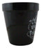 Water Don't Torture Rose Vines Wicca Witch Apothecary Flower Herbs Planter Pot