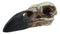 Gothic Reliquary Raven Crow Skull Small Pendant Sacred Talisman Macabre Figurine