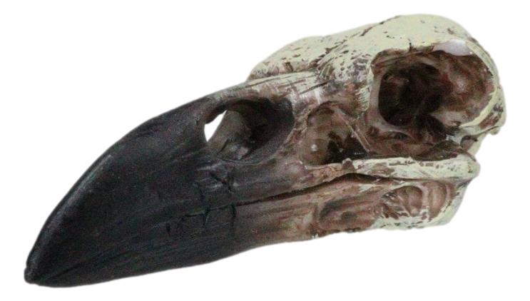 Gothic Reliquary Raven Crow Skull Small Pendant Sacred Talisman Macabre Figurine
