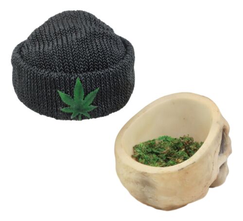 Ebros Smoking Human Skull with Leaf Beanie Hat Ashtray Jewelry Box 6.5" Long