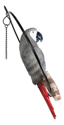 Hanging Grey Macaw Parrot Bird Perching On Branch With Metal Round Ring 13.5" H