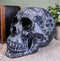 Ebros Black Astrology Paranormal Ouija Spirit Skull Statue 8.5"L Supernatural