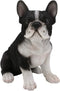 Ebros Realistic Black French Bulldog Puppy Dog with Glass Eyes Statue 7" Tall