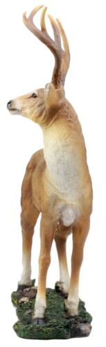 Ebros Wildlife 8 Point Trophy Buck Statue 15"H Outdoor Hunter Whitetail Deer Figurine
