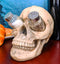 Ebros Scary Ossuary Human Skull Salt Pepper Shakers Holder Figurine 5.75" H