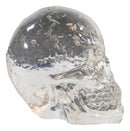 Ebros Pack Of 12 Clear Translucent Witching Hour Gazing Skull Miniature Figurines 1"H