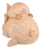 Ebros Whimsical Rustic Sleeping Pig with Piglet Piggyback Nap Shelf Sitter Figurine