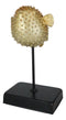 Coastal Marine Faux Taxidermy Golden Pufferfish Fish Sculpture On Pole Mount