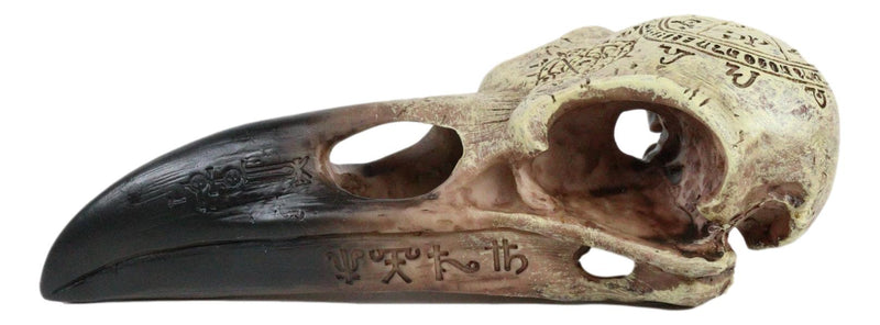 Ebros Pentagram Omega Alchemy Raven Crow Skull Figurine with Carved Rune Symbols
