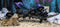 Halloween 5 Black Kitten Cats With Witch Hat Riding Magical Broomstick Figurine