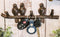 Cast Iron Rustic Western Lovebirds Perching On Twig Branch 3-Pegs Wall Coat Hook