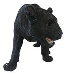 Grand Scale Realistic Black Panther Jaguar Leopard Prowling Statue 31"Long
