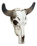 Western Aged White Steer Bison Buffalo Bull Cow Horned Skull Head Wall Decor - Ebros Gift