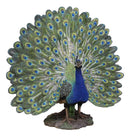Large Gallery Quality Male Peacock With Exotic Iridescent Train Plumage Statue