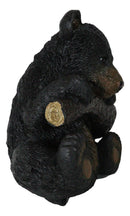 Rustic Western Forest Black Bear Cub Hanging On Branch Wall Or Tree Bark Decor