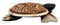 Balinese Wood Handicrafts Sea Turtle Tortoise Family Ashtray Box Figurine Set