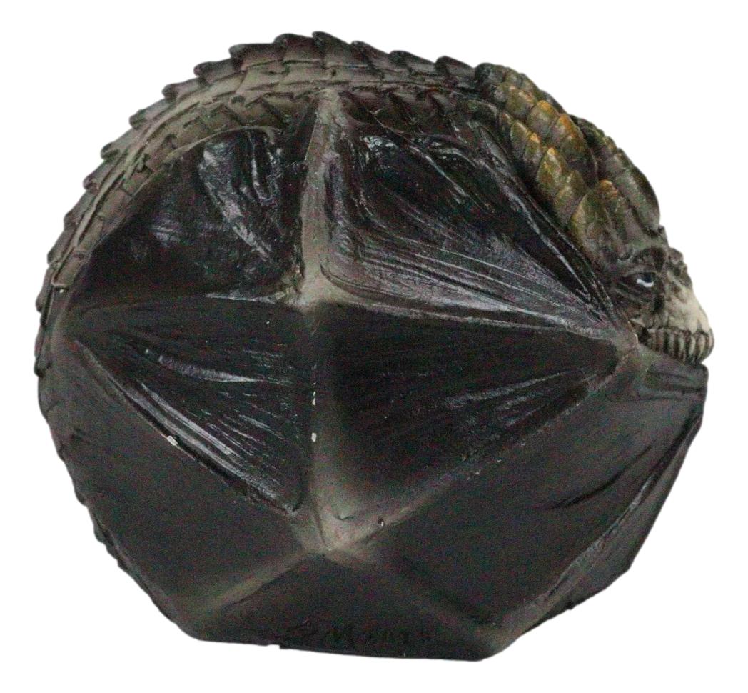 Fear The Dragon Green Hibernating Small Trinket Jewelry Box Stanley Morrison