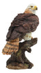 Ebros Wildlife Red Tailed Hawk On Tree Stump Statue Birds Of Prey Figurine 10"H
