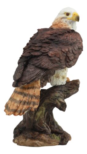 Ebros Wildlife Red Tailed Hawk On Tree Stump Statue Birds Of Prey Figurine 10"H