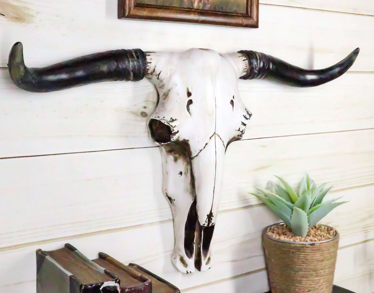 Rustic Western Longhorn Bull Cow Steer Head Skull Wall Decor Plaque 20.5"L