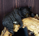 Western Rustic Forest Black Bear Sleeping On Tree Trunk Wall Mirror Decor Plaque