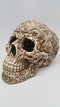 Skull Engraved with Floral Patterns Collectible Desktop Figurine Gift 6 Inch